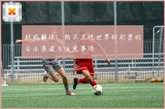 权威解读：购买正规世界杯彩票的合法渠道与注意事项