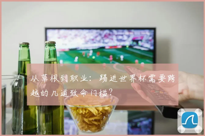 从草根到职业:踢进世界杯需要跨越的几道致命门槛?