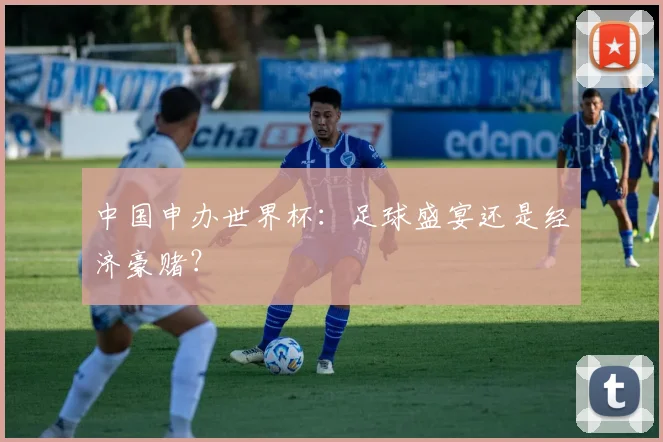 中国申办世界杯：足球盛宴还是经济豪赌？