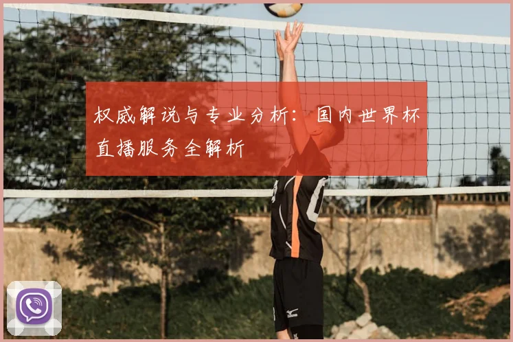 权威解说与专业分析：国内世界杯直播服务全解析