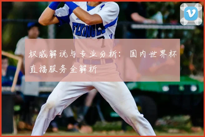 权威解说与专业分析：国内世界杯直播服务全解析