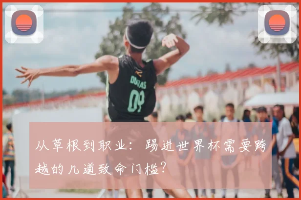 从草根到职业:踢进世界杯需要跨越的几道致命门槛?